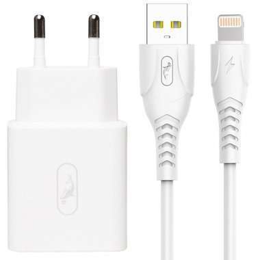 Сетевое зарядное устройство для Apple SKYDOLPHIN SC31L (USB - Lightning) (белое) — 1